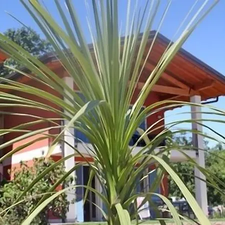Alice Hotel apartamentowy 3*